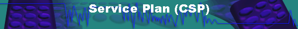 Service Plan (CSP)